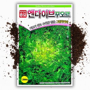 씨앗팜 엔다이브 씨앗(1500립) 치커리, 1개