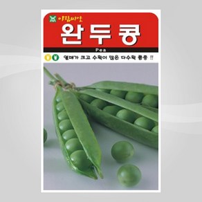 슬로시 열매 씨앗 종자 고추 가지 토마토 완두콩 녹두, 1개