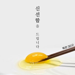 파머스테이블 HACCP 무항생제 신선한 계란 특란, 1개, 30구