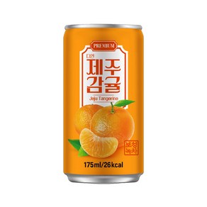 다인 서편제 제주감귤 175ml