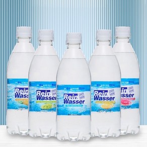 동아오츠카 라인바싸 탄산수 500ml PET 5종 2박스 (총40입)