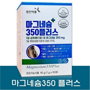 영진약품 마그네슘350 플러스 90정 3개월분, 1개