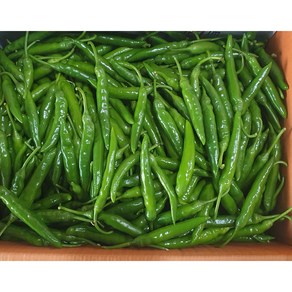 가락싱싱 국내산 청양고추 (특)400g 1kg 땡초 매운청양고추, 청양고추400g, 1개