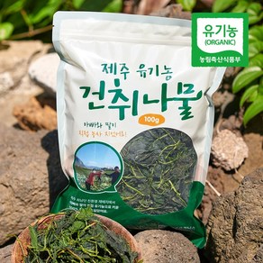 제주 유기농 건 취나물 100g, 1개