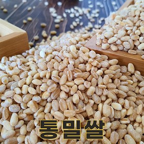 전남 장흥 24년산 국산 통밀 통밀쌀 4kg 통밀밥