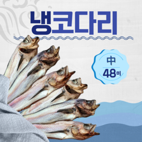 속초 대용량 업소용 냉코다리 13kg, 13kg(중(39~42cm),48마리), 1개