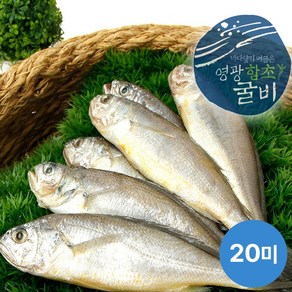 [KT알파쇼핑][연애]영광법성포 함초진공굴비 20미(19~21cm내외 마리당70g), 2개