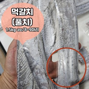 먹갈치(실속형) 풀치 목포 산지직송 조림 젓갈 구이용 10마리 내외(손질전 1.5kg) 24마리 내외(손질전 3kg), 1세트