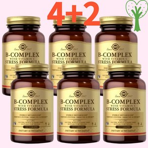 솔가 B 컴플렉스 비타민 C 스트레스 포뮬라 100정 (타블렛) Solga B Complex with Vitamin C Stess Fomula 100tabs [6개 SET], 6개