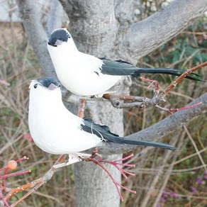 새 모형 14cm 가짜 인조 모조 새 조류 실제 깃털사용 제작