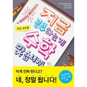 지금 공부하는 게 수학 맞습니까?(초등 부모용), 비아북