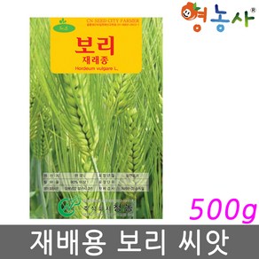 재배 보리씨앗 500g