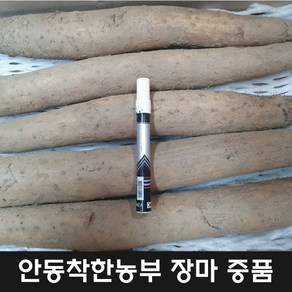 안동장마 알뜰 10키로 24년 햇마