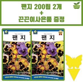 다농 팬지 씨앗 200립 혼색 팬지 꽃씨 종자 2개+끈끈이 1P 증정, 1세트