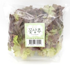 의령농산 건강채소 국내산 간편손질야채 꽃상추 (100g)