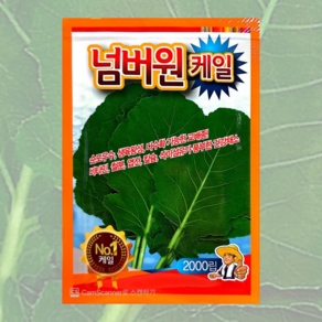 메리트 강낭콩 씨앗 30g [25년포장] 봄 전용 비덩굴성 얼룩이강낭콩 종자, 1개