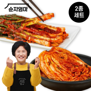 [입점특가] 순자엄마 포기김치2kg +파김치2kg 프리미엄 김치 세트