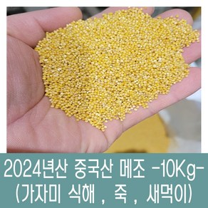 [다온농산] 수입 <국내도정> 특품 중국산 메조/메좁쌀 -10Kg- 가자미식해/새먹이, 1개