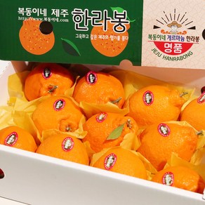 [산지에서바로] 고당도 제주 한라봉 프리미엄 선물세트, 1개, 한라봉 3kg 대과 (8-10과)