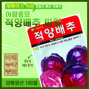 적양배추 씨앗 100립- 이태리원산지 red cabbage seeds