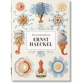 Ernst Haeckel - 40 Years Hardcover