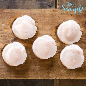 [씨기프트]가리비관자 1kg 냉동 가리비 관자살 개아지살, 1개