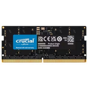 마이크론 Cucial 노트북 DDR5-5600 CL46 대원씨티에스 (16GB) -M, 1개