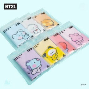 BT21 minini 미니니 Passpot case 여권케이스 여권지갑 굿즈