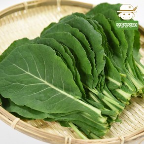 [충주직송] 유기농 케일 600g/800g/1kg, 600g, 1개