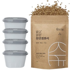 온다숲 반영구 천연 제습제 정화석 1kg + 용기 4개, 1세트