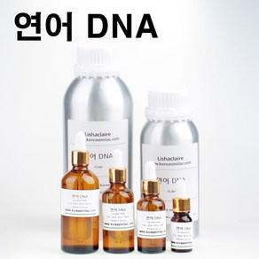 연어 DNA PDRN 원액, 1개, 1L