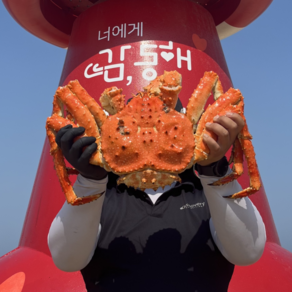 산지직송 최상급 러시아 자숙 레드킹크랩 3kg 3.5kg 4kg, 99박스, 4kg 내외 (1미)