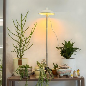 루아즈 LED 우산 식물 생장등, 화이트