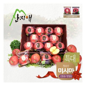 [산지애] 씻어나온 꿀사과 4kg 1box (특대과) / 청송산 미시마 당도선별, 1, 상세 설명 참조