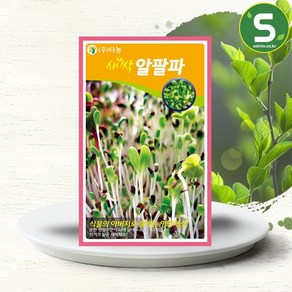 솔림텃밭몰 새싹알팔파씨앗 12g 새싹알팔파 알파파 새싹채소씨앗, 1개