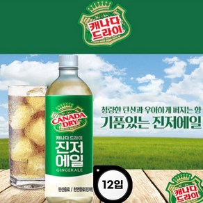 코카콜라 캐나다드라이 진저에일 450ml (12입), 12개