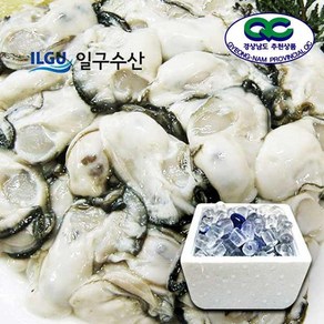 [일구수산]싱싱한 통영 생굴 1kg 2kg /산지/ 당일작업/굴수하식수협38번중도매인, 생굴(중) 2kg  (가열조리), 1개, 2