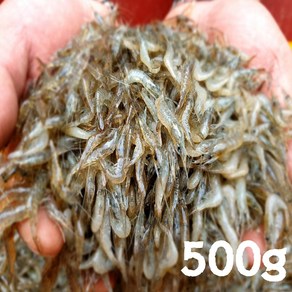 국내산 자연 김장 민물새우 500g, 1개