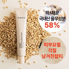 [율무성분 58%] 인워드 율무 기미잡티 스팟 미백 크림 50ml, 1개