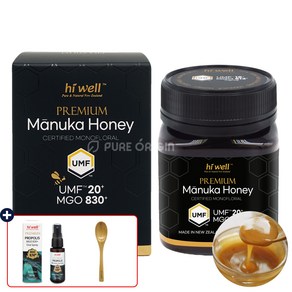 하이웰 마누카꿀 UMF 20+ 250g 뉴질랜드 MGO830+ 마누카 꿀, 1개