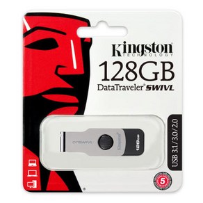 Kingston USB3.1 DataTraveler DTSWIVL