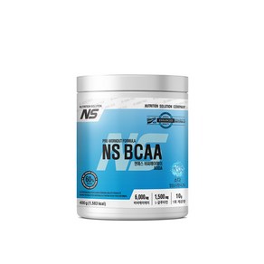 NS BCAA 아미노산 보충제 소다맛 400g, 1개