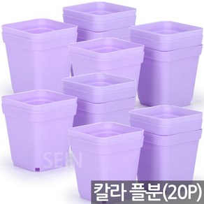 세인화분 칼라 미니사각 포트 화분 20P, 04_퍼플 사각포트(20P), 20개