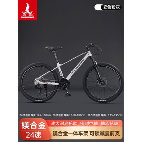 피닉스 산악자전거 마그네슘 합금 초경량 MTB 무용접 강화 프레임 자전거 24단 어드밴스, 24인치, 다크 그레이  24단, 1개
