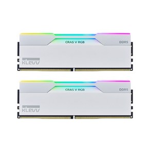 ESSENCORE KLEVV DDR5-6000 CL30 CRAS V RGB 화이트 패키지 서린 (32GB(16Gx2)), 2개