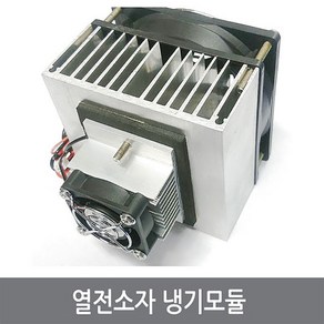 싸이피아 A6F 열전소자 냉기 모듈 세트 펠티어 냉장고 냉각, 1개