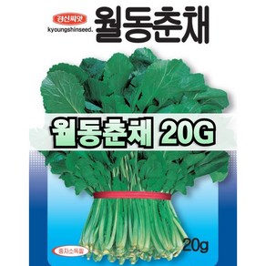 춘채씨앗 월동 20g 파종용 종자 경신종묘 당일발송, 1개