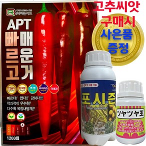 APT빠르고매운거 고추씨앗 1200립 고추씨 종자 조생종 복합내병계 탄저병 칼라병 품종, 1개