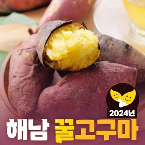 24년 햇 해남 꿀고구마 베니하루카 햇고구마 해남고구마 밤고구마 (2kg/3kg/5kg/10kg), 1박스, 2kg(한입) 세척