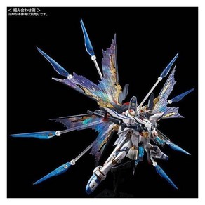 BANDAI SPIRITS RG 1 144 스트라이크 프리덤 건담 확장 이펙트 유닛 \